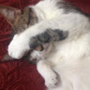 Meet your Posher, Sophie